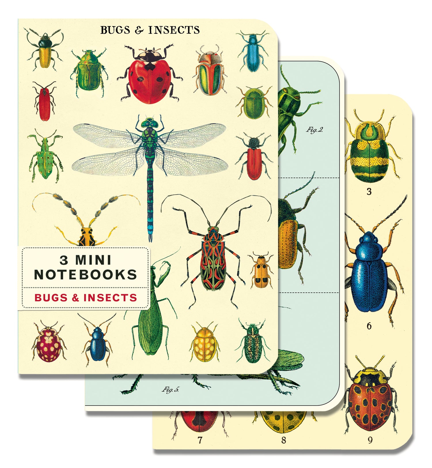 A vintage Bugs &amp; Insects 3 Mini Notebooks set featuring intricate artwork of insects and beetles by Cavallini Papers &amp; Co.