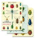A vintage Bugs & Insects 3 Mini Notebooks set featuring intricate artwork of insects and beetles by Cavallini Papers & Co.