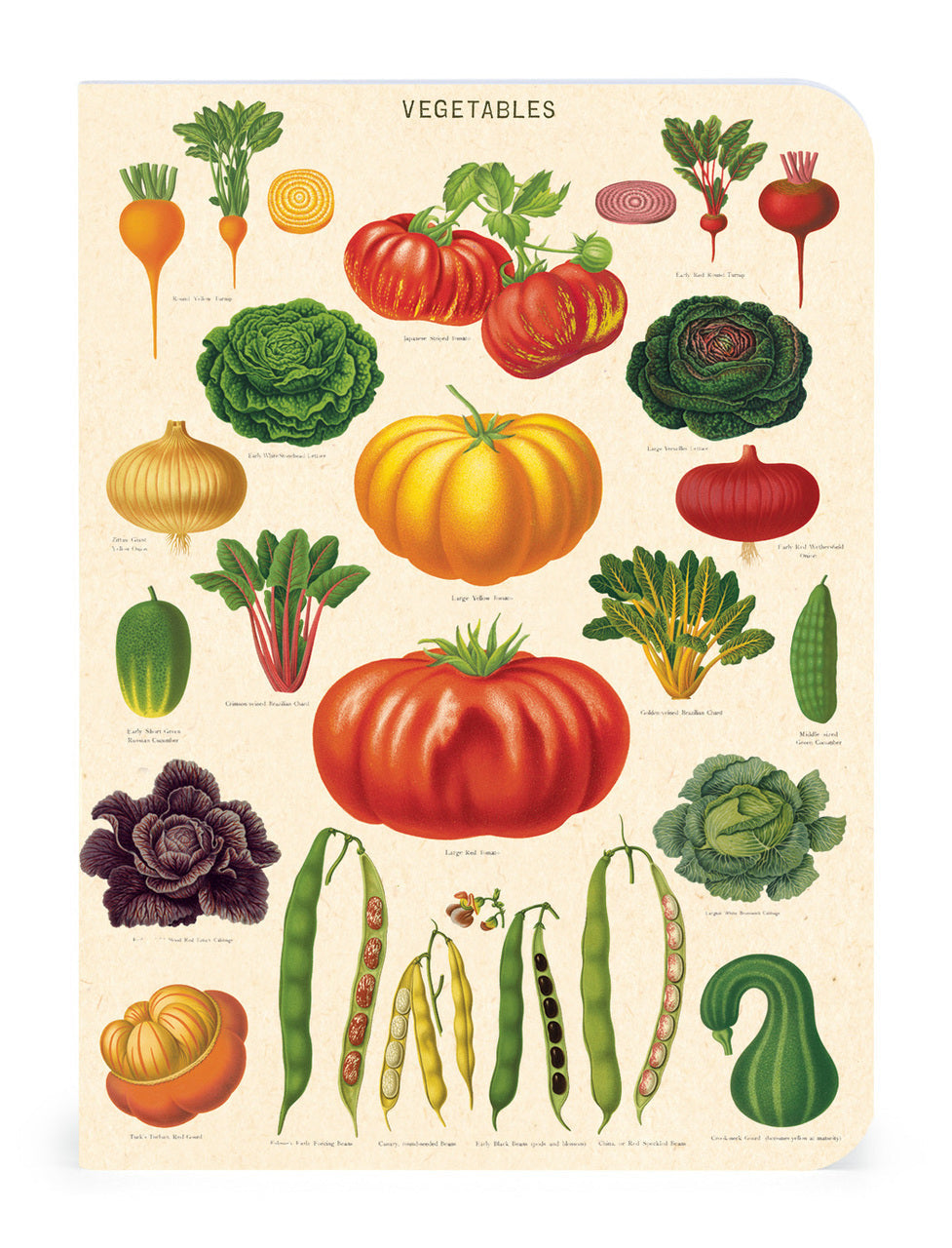 Various hand-drawn vegetables, mini notebook featuring images from the Cavallini archive.