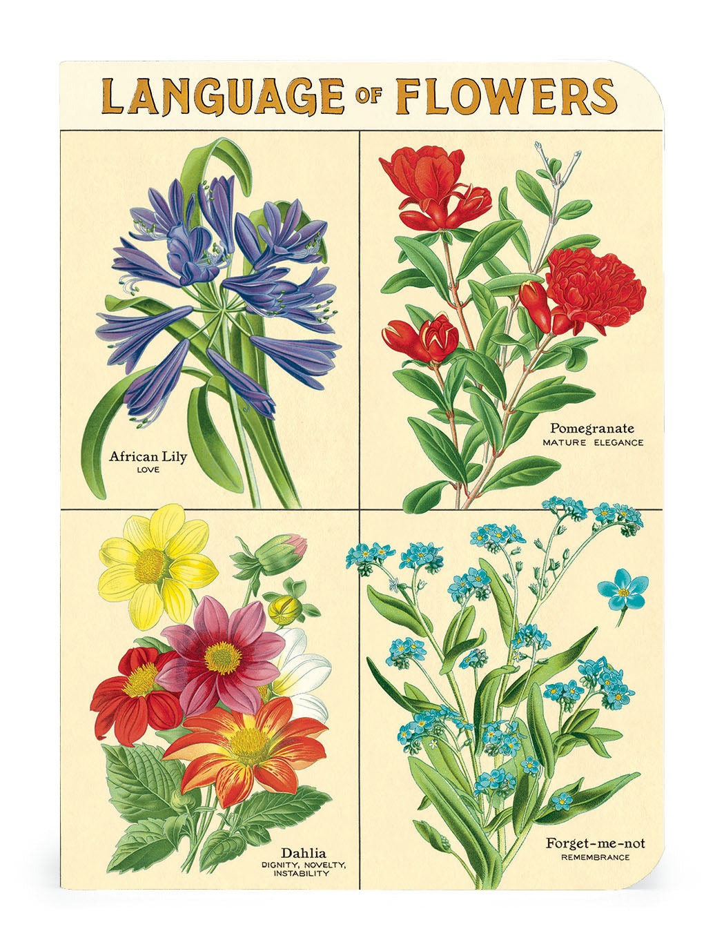 lily flower language Cavallini & Co. 3 Mini Notebooks (Language of Flowers)