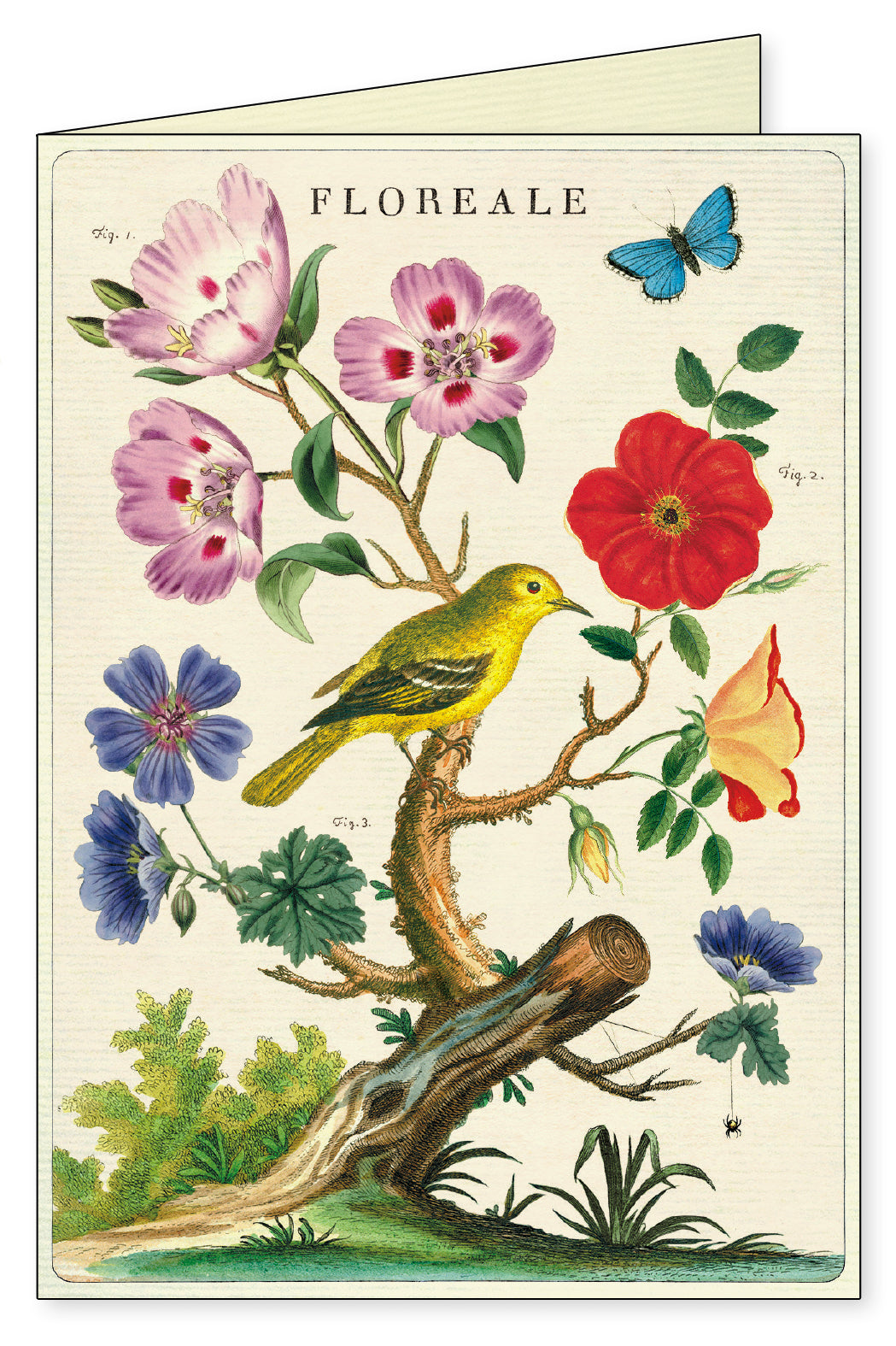 A picture of a bird and flowers from the Cavallini Papers &amp; Co. Floreale Boxed Notecards Set of 8 collection.