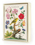 A picture of a bird and flowers from the Cavallini Papers & Co. Floreale Boxed Notecards Set of 8 collection.