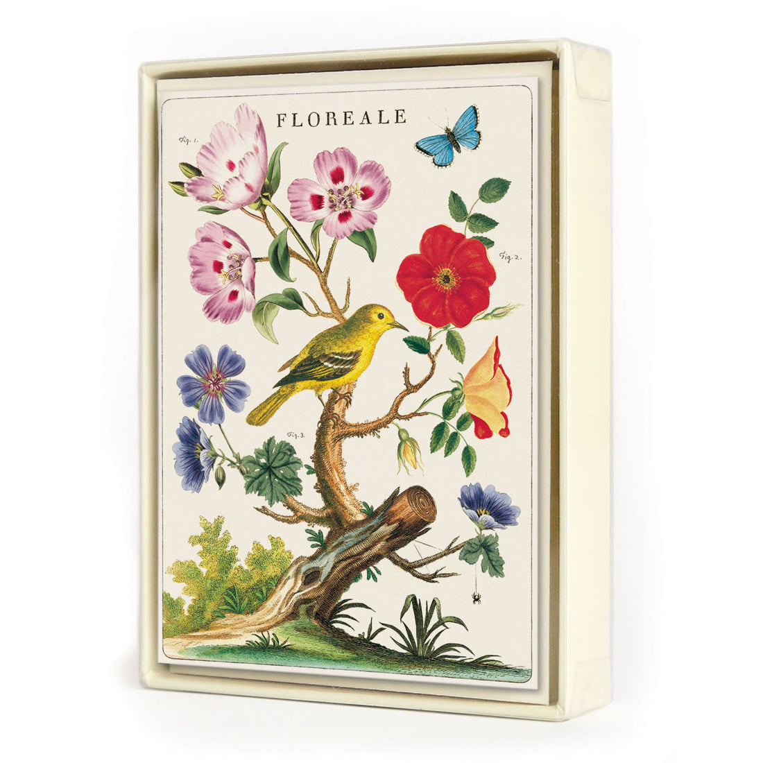 Floreale Boxed Set of 8 Notecards