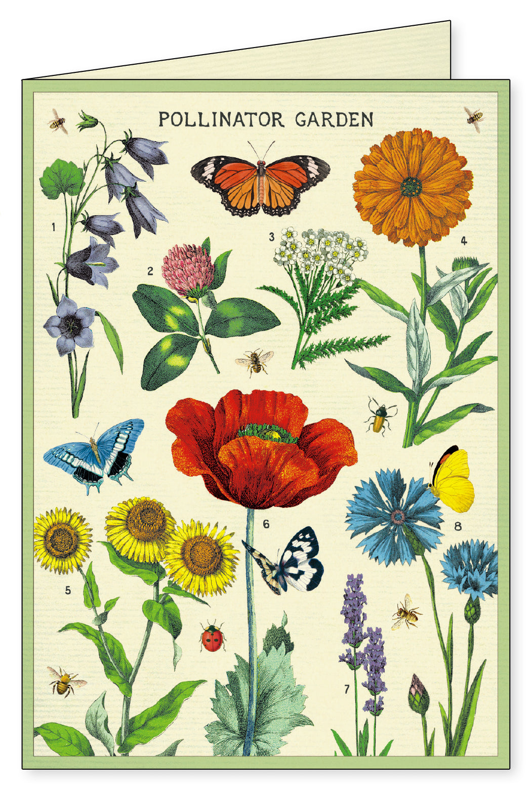 Gardening Notecards Set of 8
