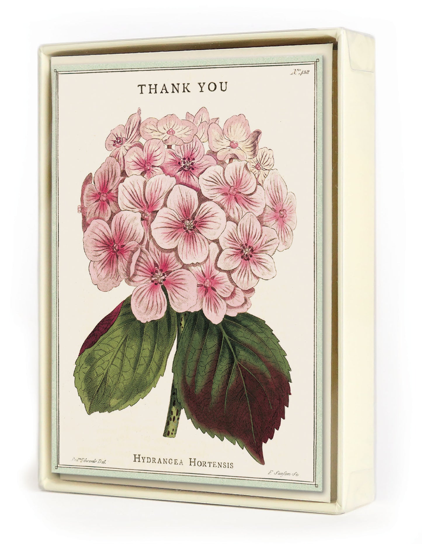 Thank You Fleur Notecards Set of 10