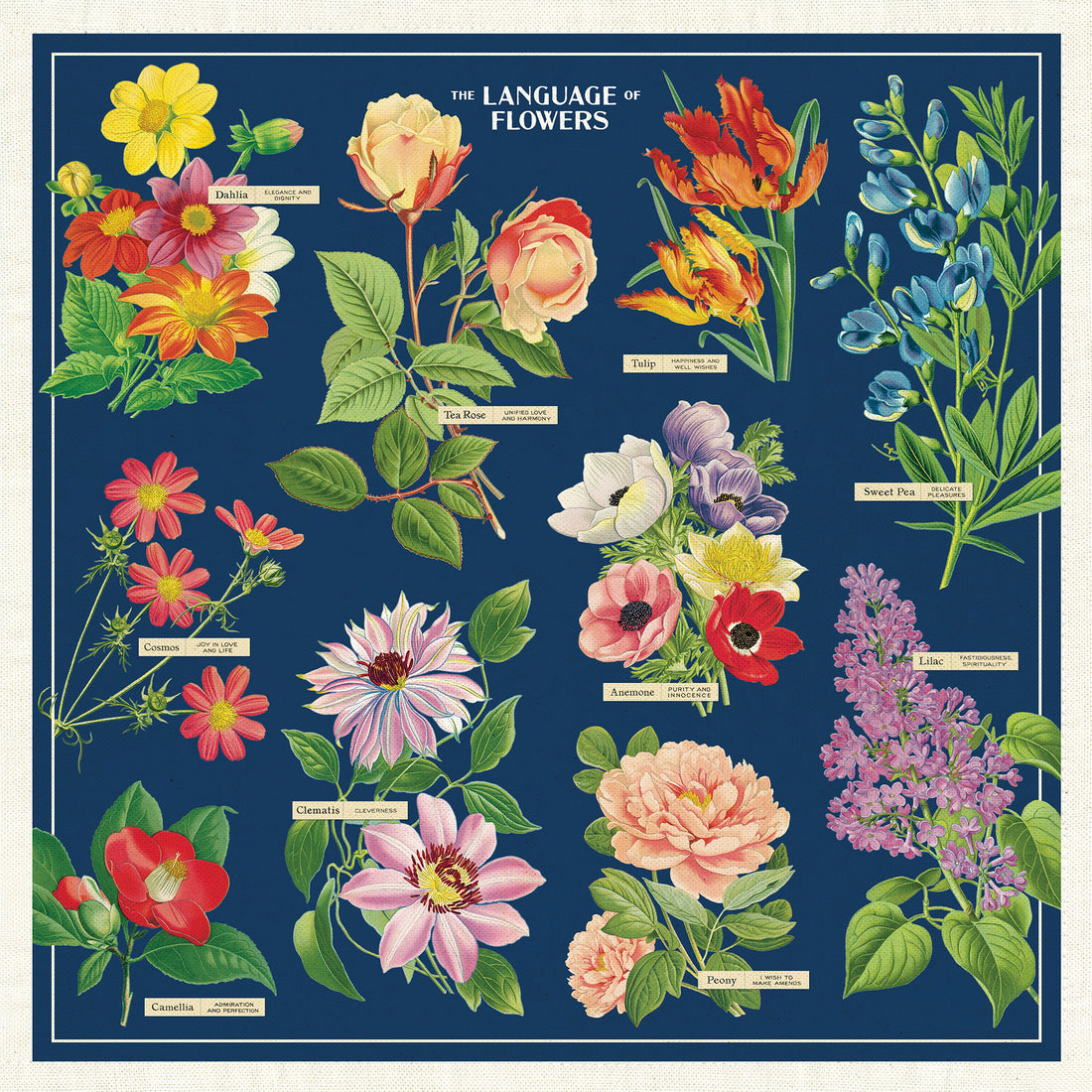 Illustration of flowers with their names on a blue background and the text "The Language of Flowers".