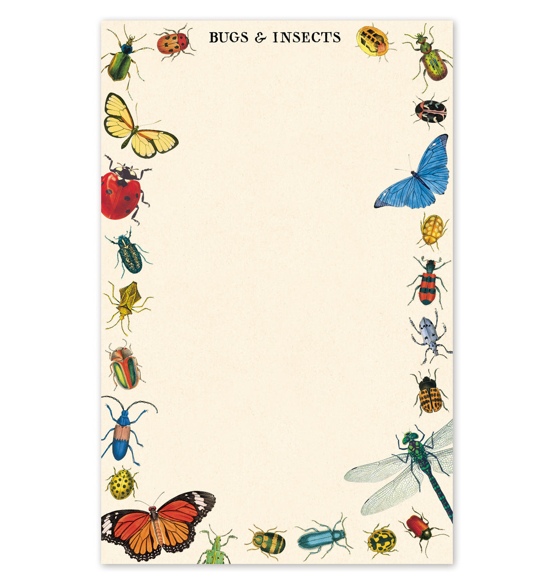 Bugs &amp; Insects Notepad from Cavallini Papers &amp; Co archives, bordered with illustrated bugs and insects for nature lovers.