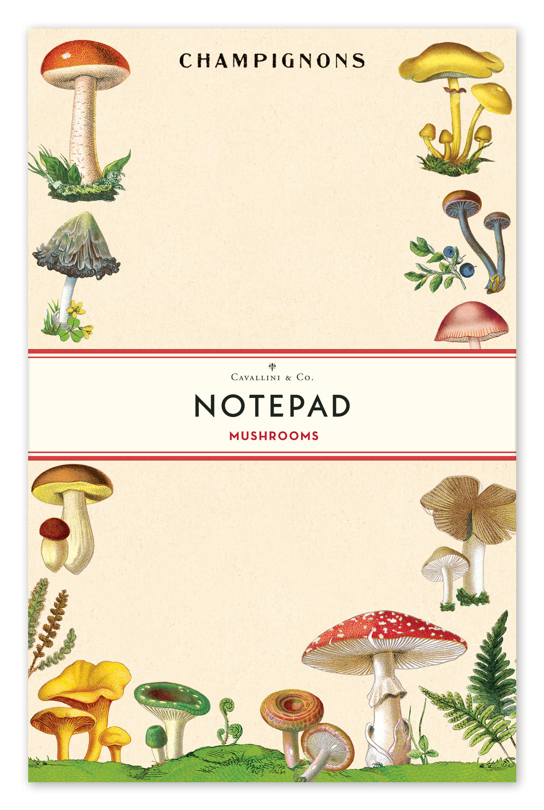 A Cavallini Papers &amp; Co Mushrooms Notepad adorned with charming mushrooms and intricate ferns.