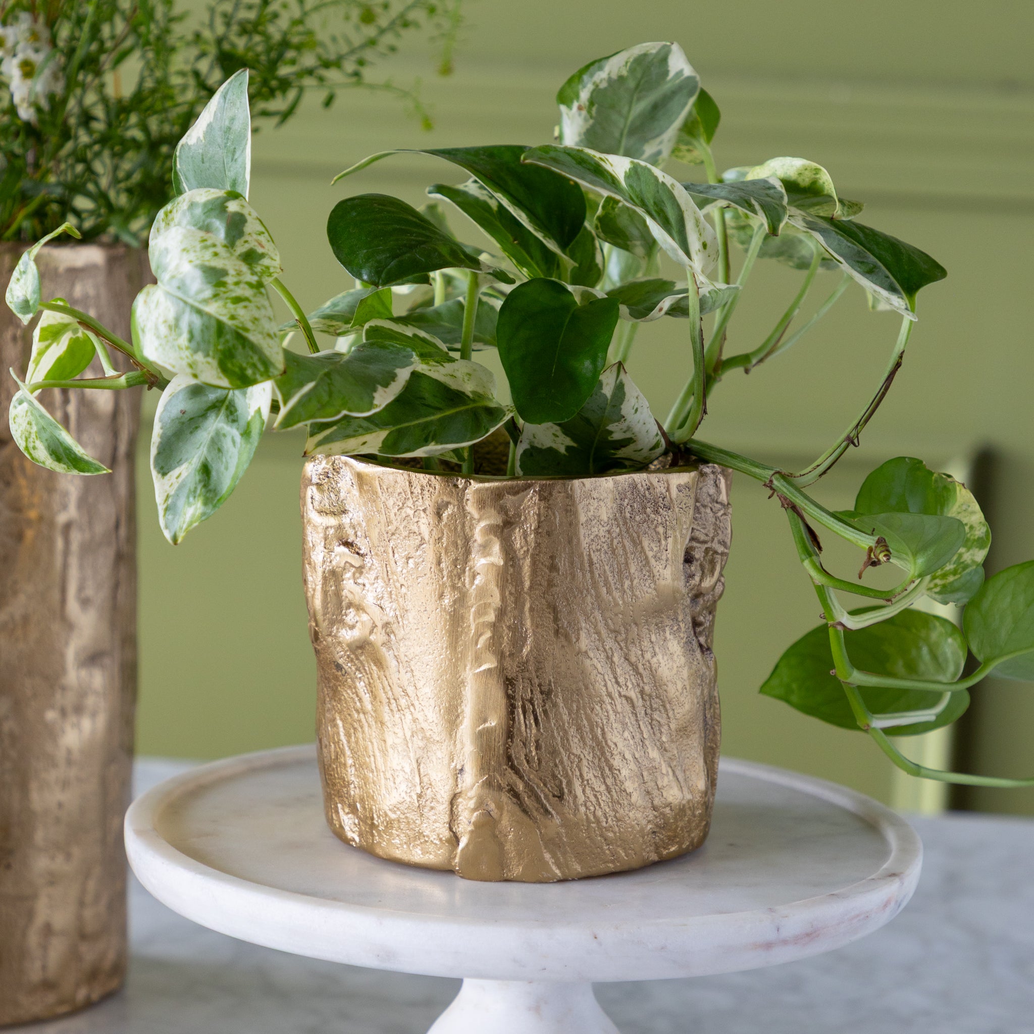 A medium Gold Birch Metal Vases with flowers on a marble surface with a green wall background.