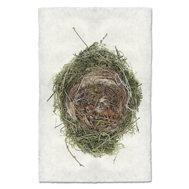 Artwork by Barloga Studio&