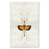 A fine art photography print of an Orange Stick Bug by Barloga Studios. 