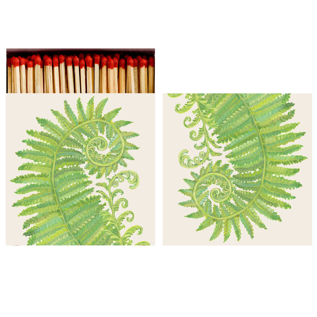 Two identical sides of a square match box, the left of which is open slightly to reveal the matches inside. The artwork on the box depicts a vibrant bright green fern frond that spirals delicately over a cream background.