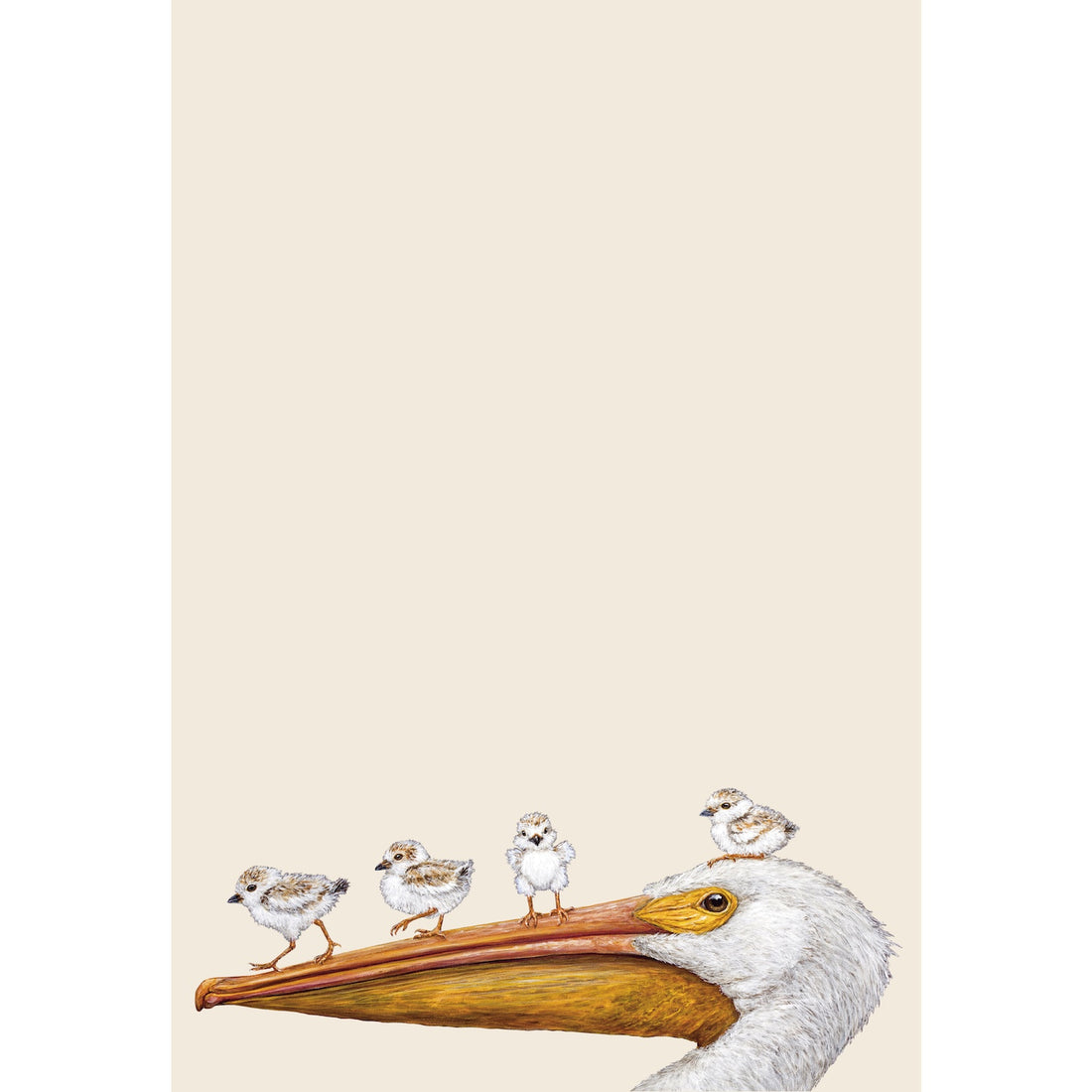 Three small birds perched on the beak of a pelican against a beige background on one of Hester &amp; Cook&