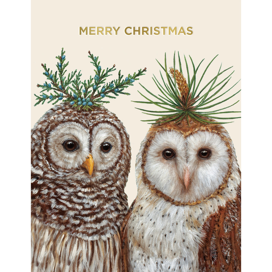 A cream Christmas card featuring two illustrated owls wearing winter botanicals as hats with &