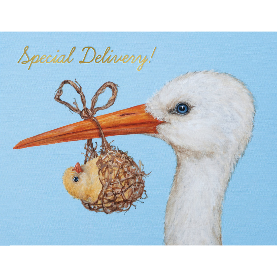 A Baby Stork Card featuring a stork delivering a special bundle of joy from Hester &amp; Cook.