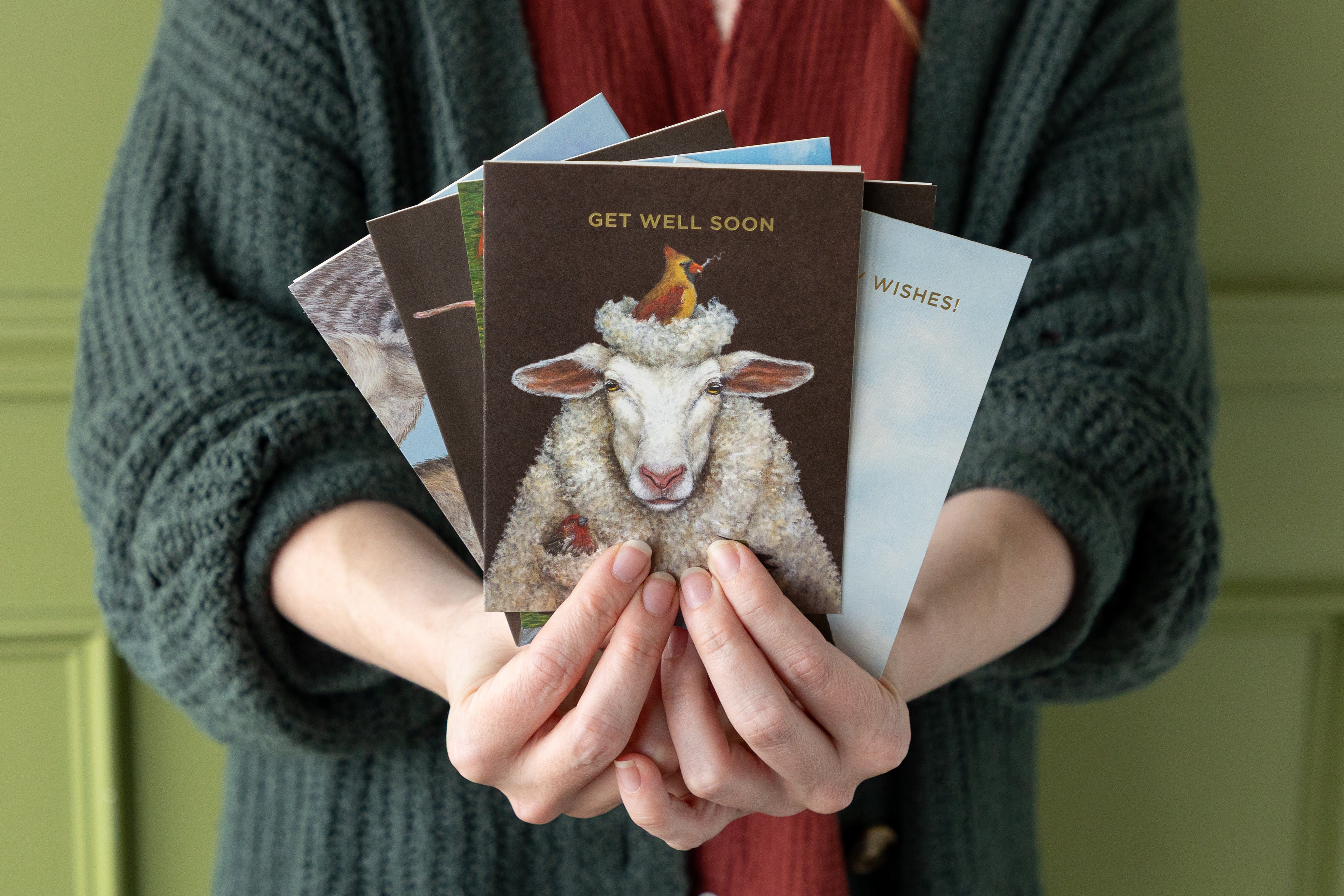 Person holding a collection of greeting cards with one featuring a sheep illustration and &