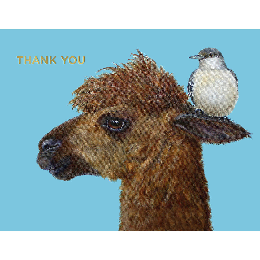 A whimsical illustration of the profile view of a fluffy brown alpaca by artist Vicki Sawyer is featured centered on this card on a robins egg blue background with a bird seen perched on his back left ear. The words &quot;THANK YOU&quot; are printed in a shiny gold foil in the top left corner of the card. 