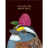 You are the Berry Best Bird Card artist greeting card by Hester & Cook.