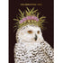 An illustration of a white owl adorned with a flower crown, below the words "CELEBRATING YOU", against a black background.