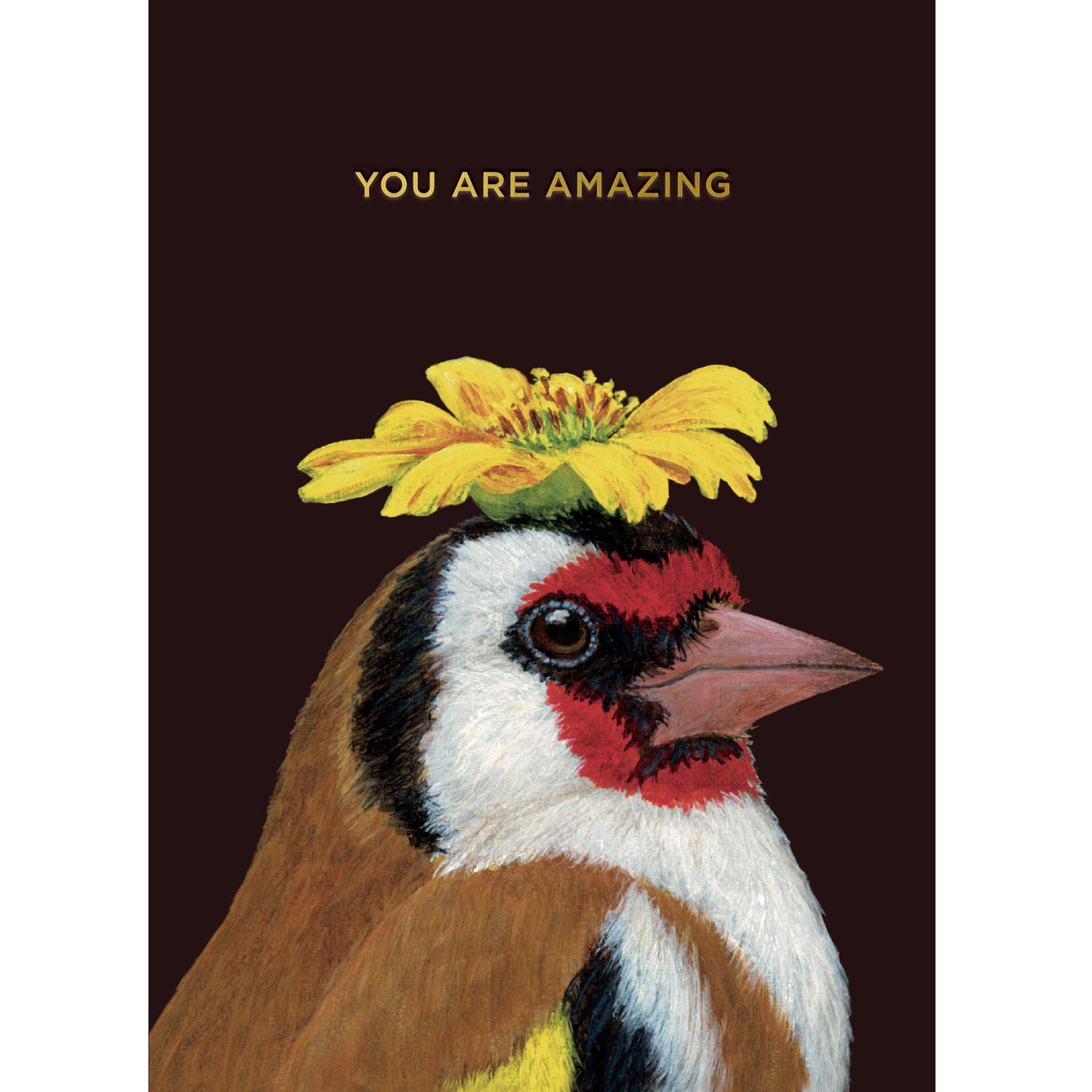 An illustration of a goldfinch with a yellow flowers on its head, below the text "YOU ARE AMAZING", on a black background.