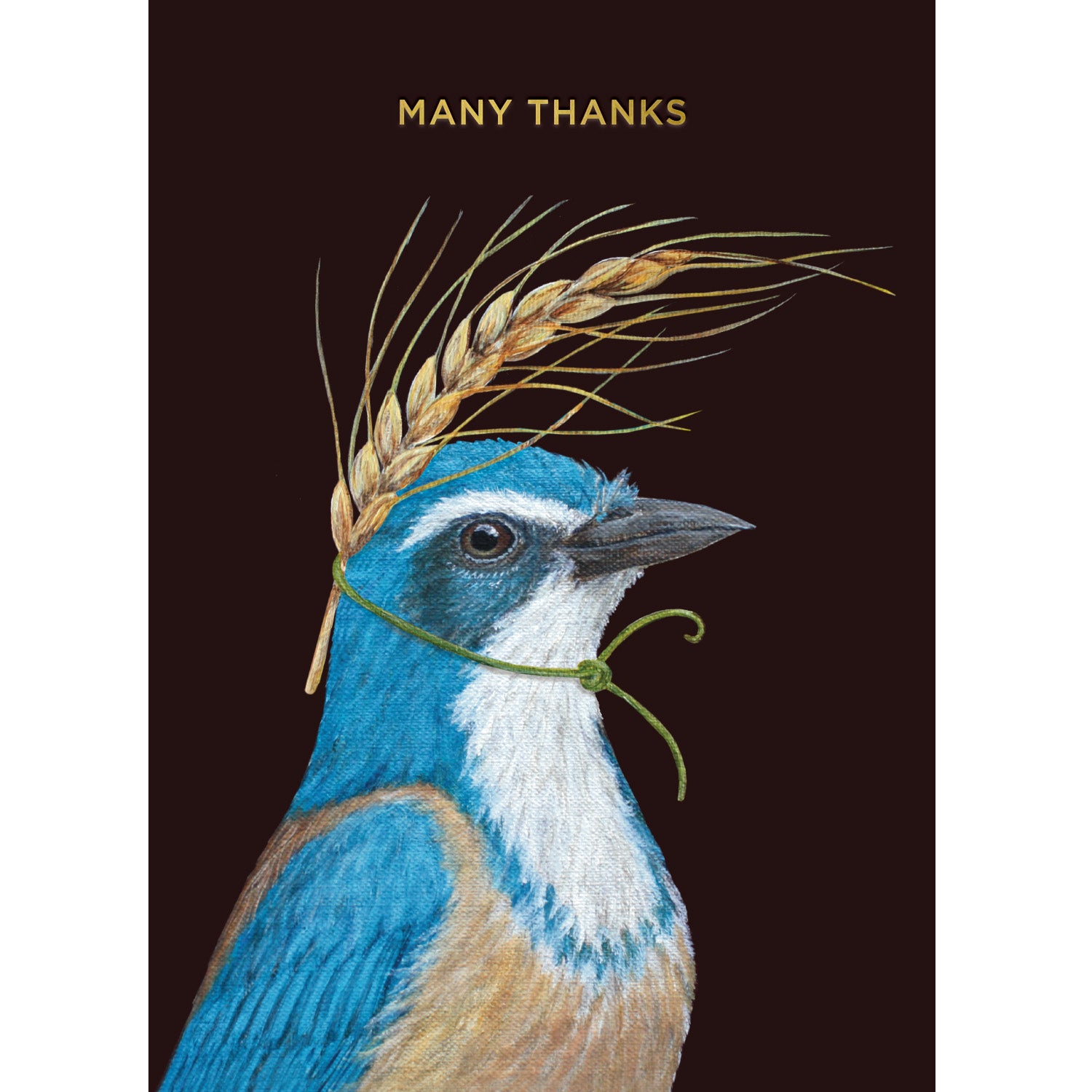 An illustration of a blue jay with a wheat strand on its head tied by a green string, and the words &