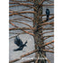An illustration of two black birds perched on bare winter branches as snow falls. The text “I’M SO GLAD WE’RE FRIENDS” graces the bottom.