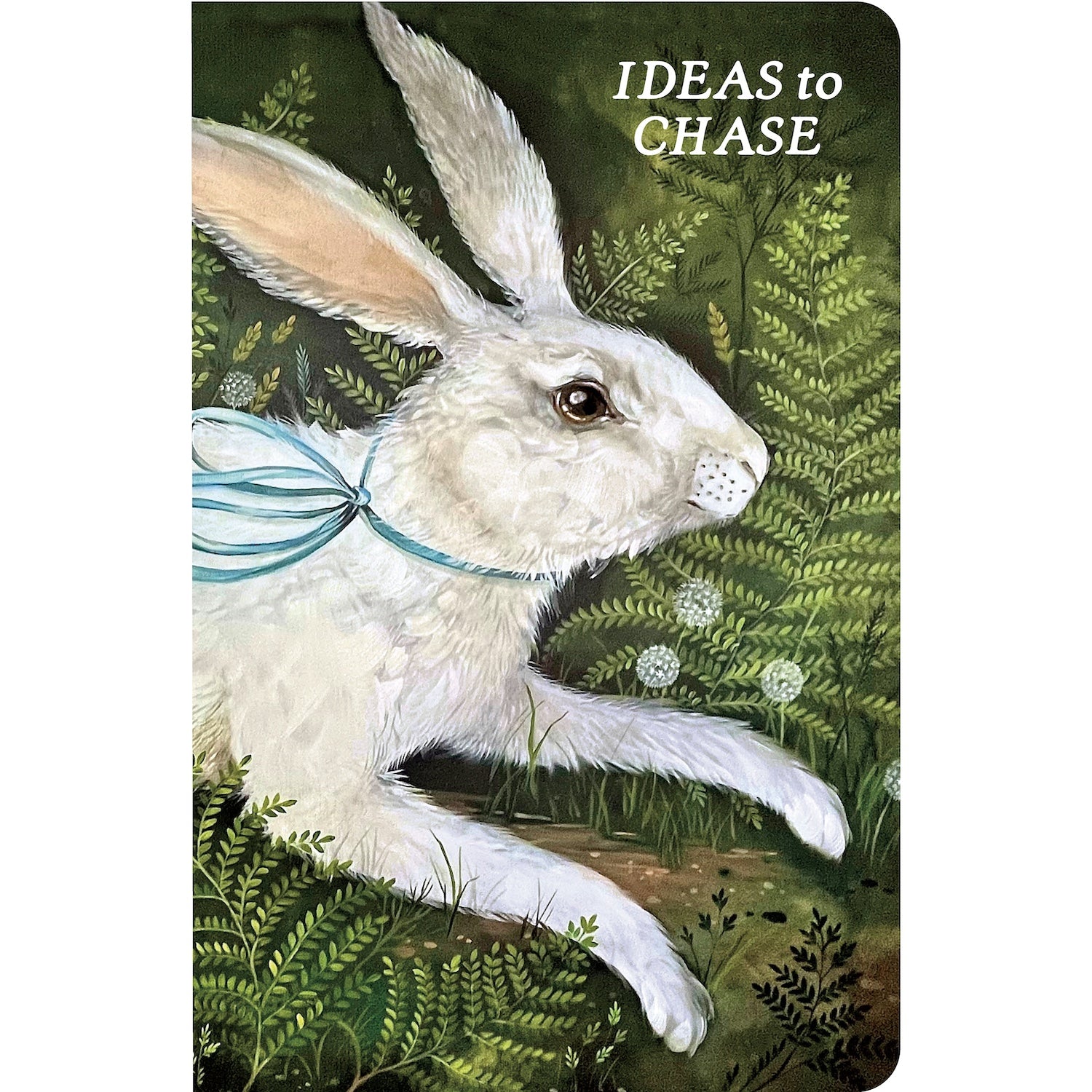 Rabbit Chase Notebook – Hester & Cook