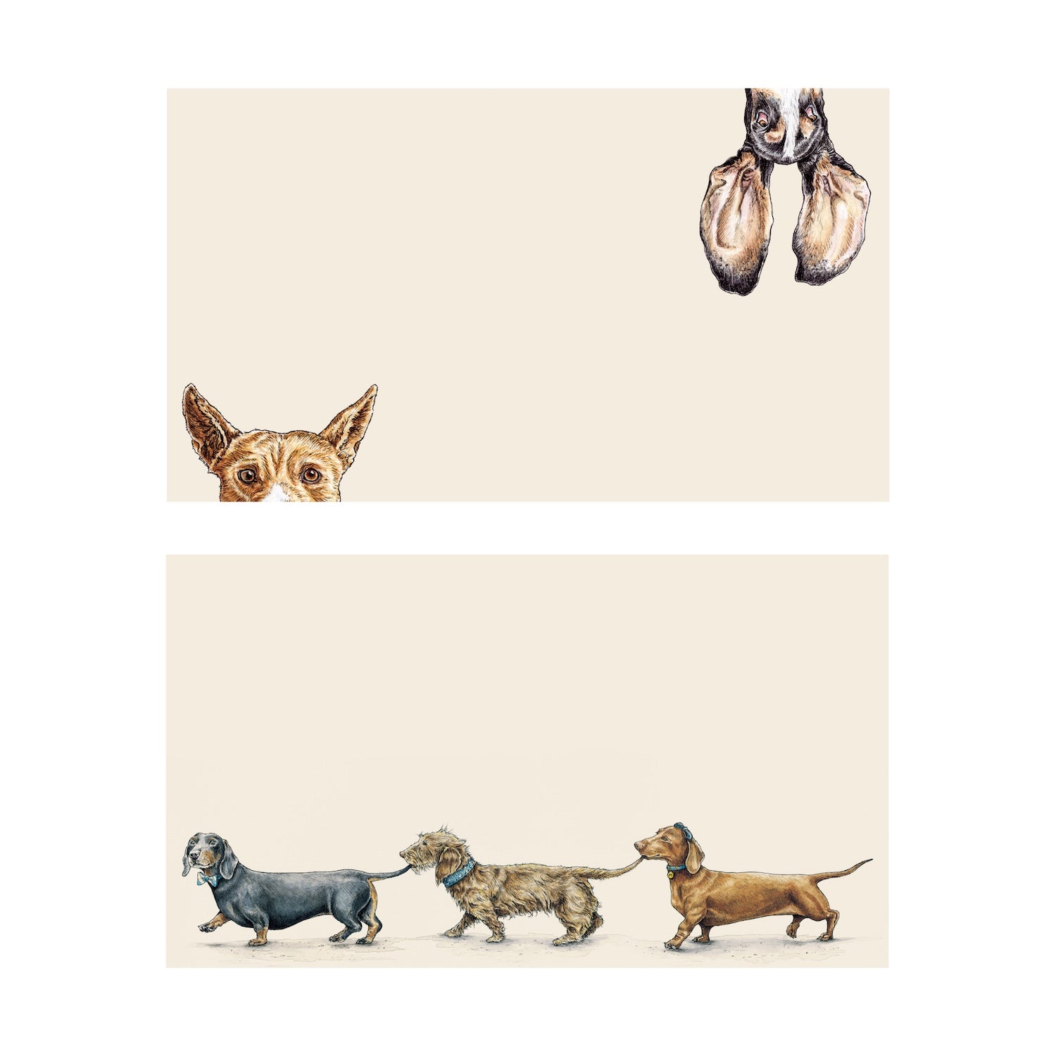 Stationery with dog illustrations on them.  The top has a dog on the top and bottom of the card peering out and the bottom has a row of dogs walking. 