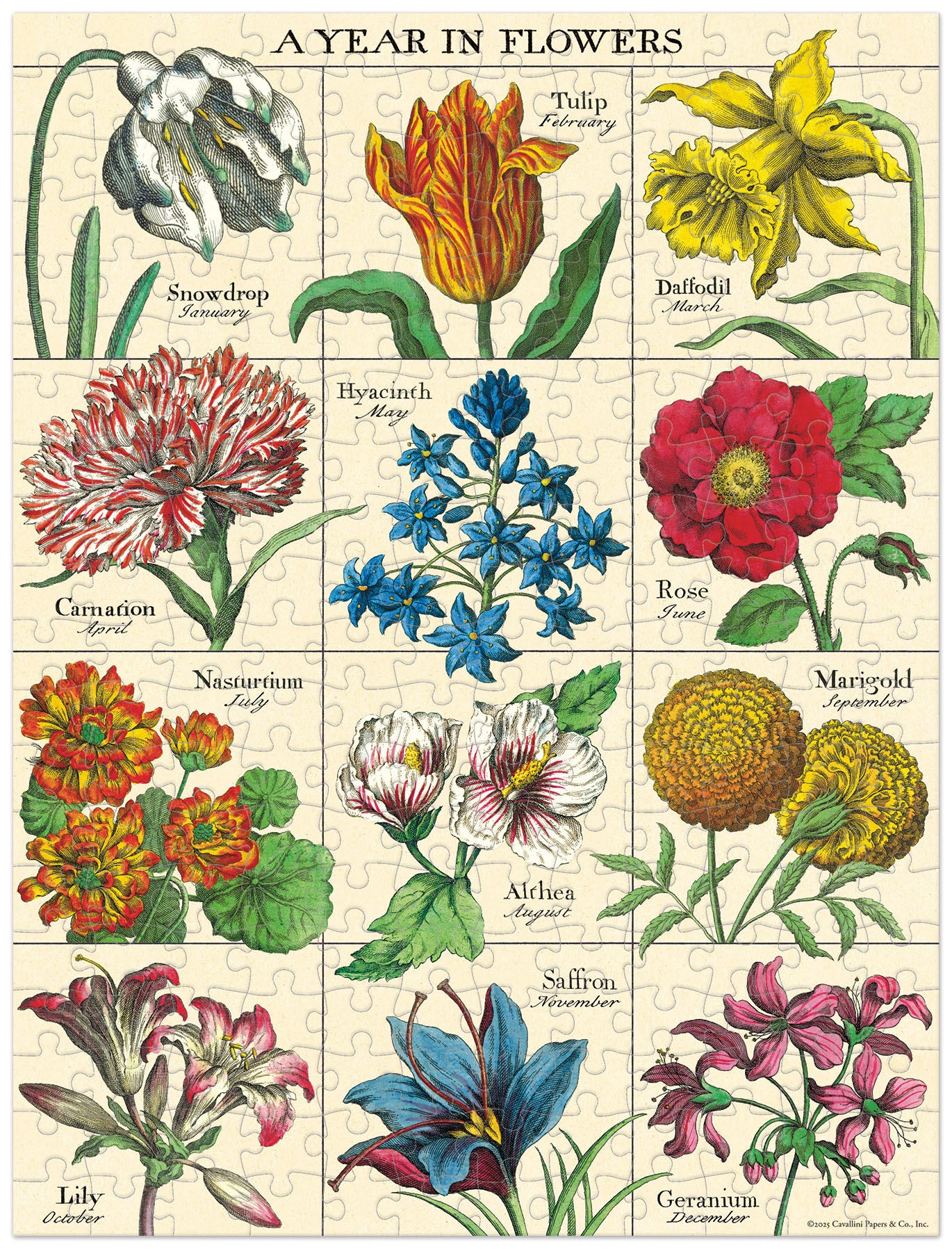 Illustration of flowers corresponding to each month of the year on a grid.