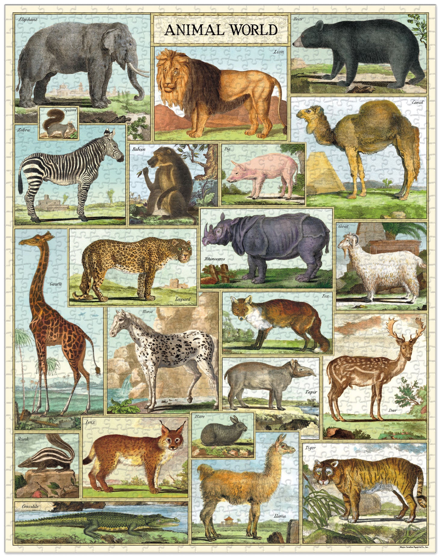 Animal World Puzzle