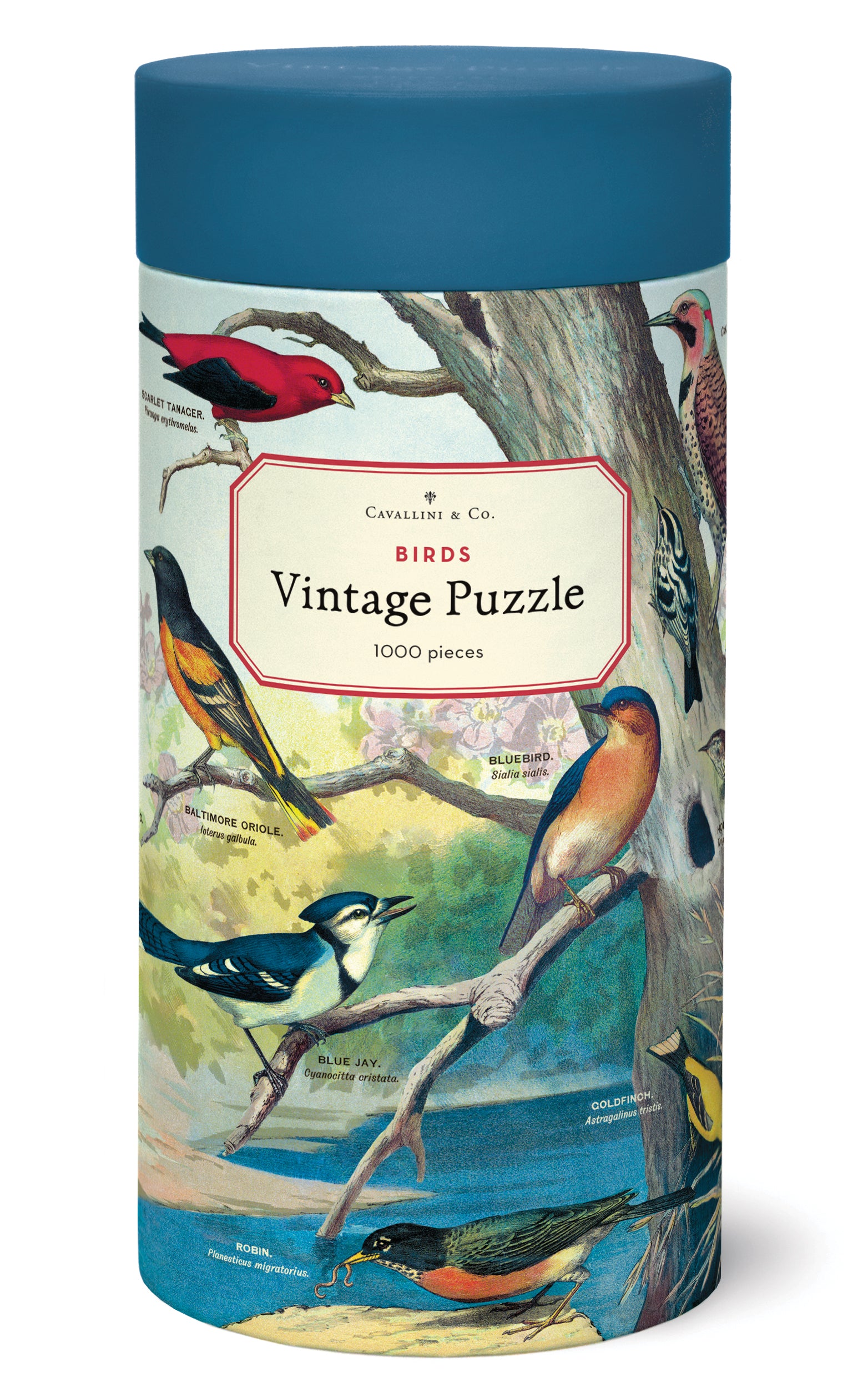 A cylindrical packaging of a Audubon bird puzzle with vintage illustrations. The box is predominantly blue and green with images of various birds, branches, and a label that reads &