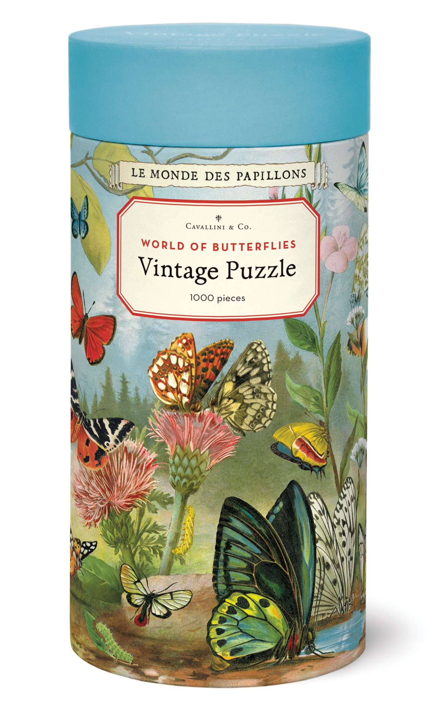 Vintage-style puzzle box with butterfly design on a white background.