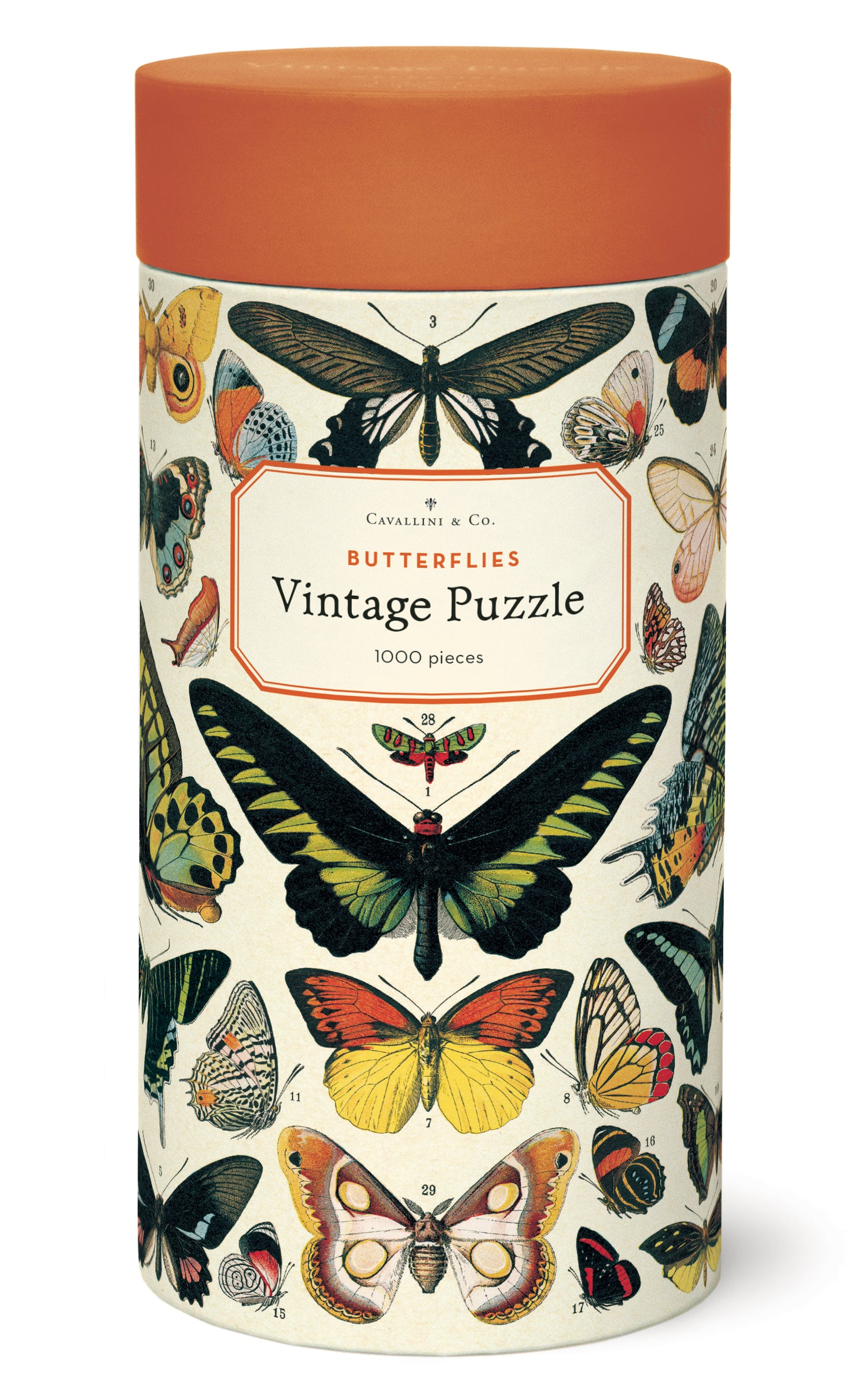 Cylindrical puzzle box with images of vintage butterflies on it by Cavallini Papers. 