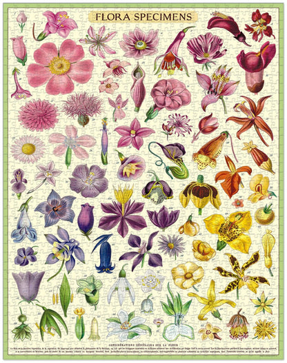 Completed Flora Specimens puzzle