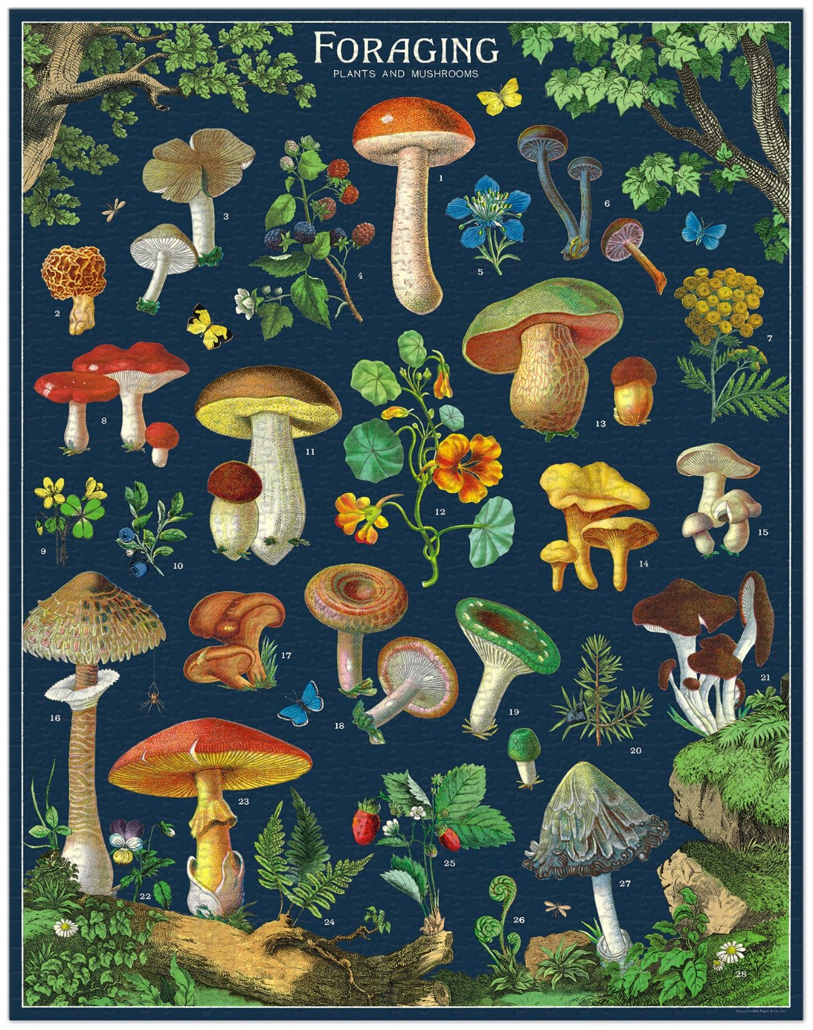 completed foraging puzzle showing blue background with various mushrooms on it