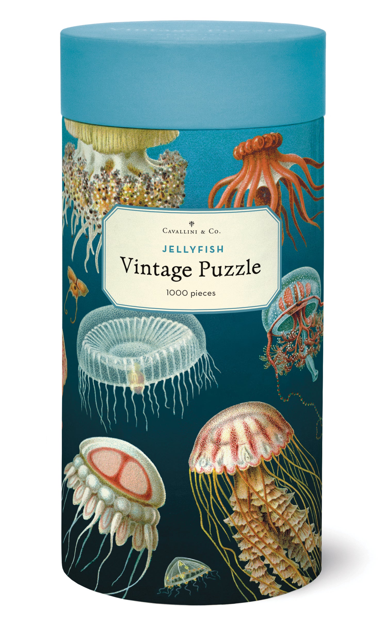 A 1000-piece Cavallini Papers &amp; Co Jellyfish Puzzle featuring vintage illustrations of various jellyfish species from the Cavallini archives, packaged in a cylindrical box.
