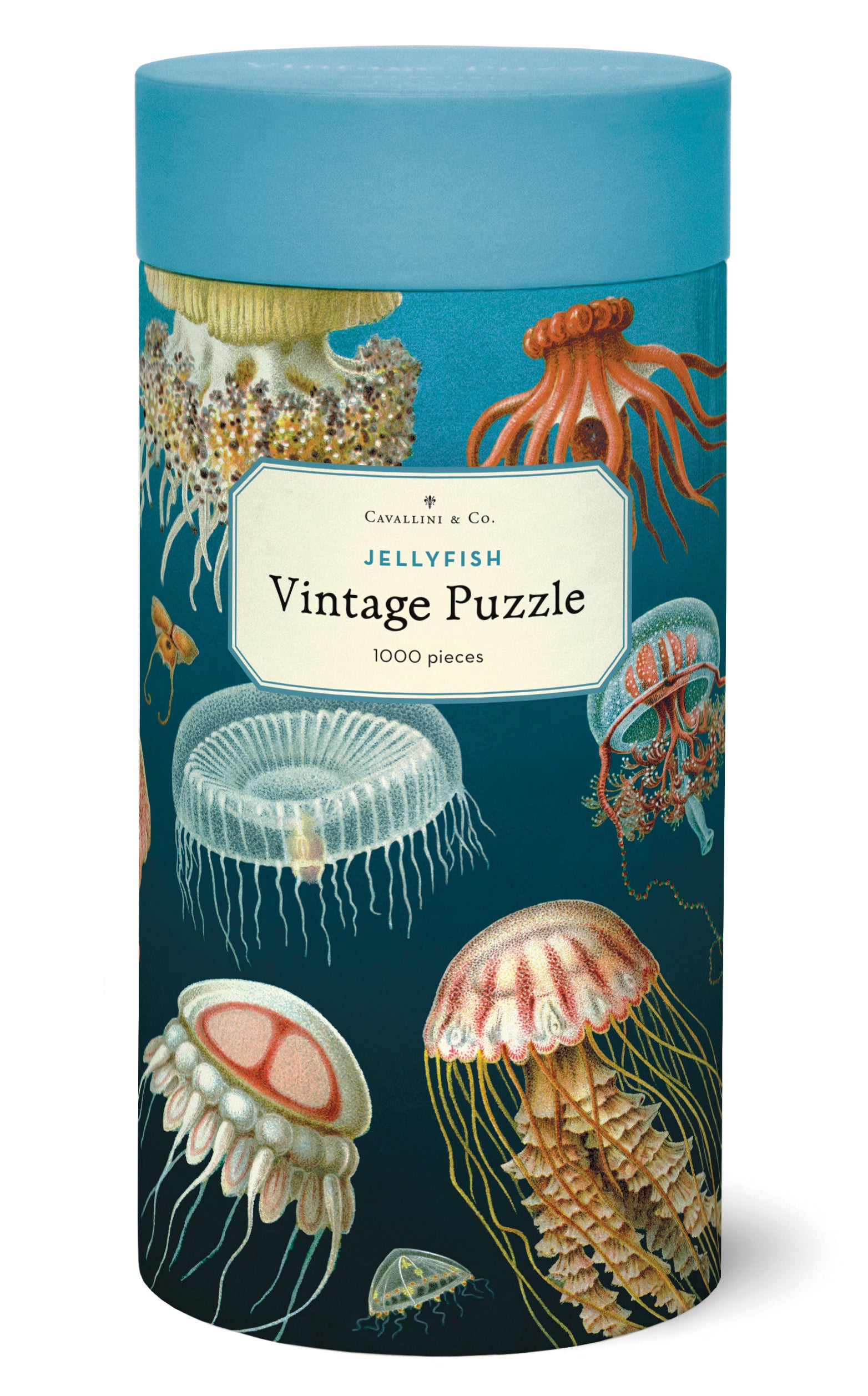 A 1000-piece Cavallini Papers &amp; Co Jellyfish Puzzle featuring vintage illustrations of various jellyfish species from the Cavallini archives, packaged in a cylindrical box.