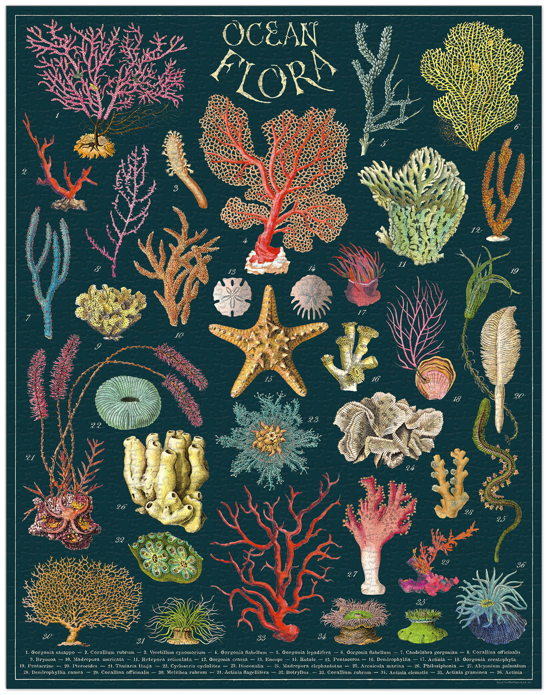 A cylindrical puzzle box for a 1000-piece vintage Ocean Flora puzzle by Cavallini Papers &amp; Co.