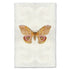 A fine art photography print of a Papilionoidea by Barloga Studios. 