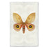 A fine art photography print of a Papilionoidea by Barloga Studios. 