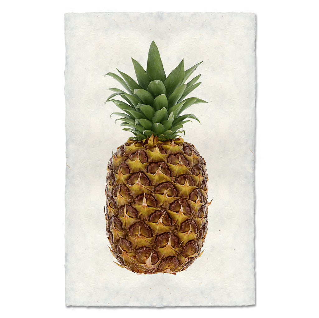 Pineapple Art Print