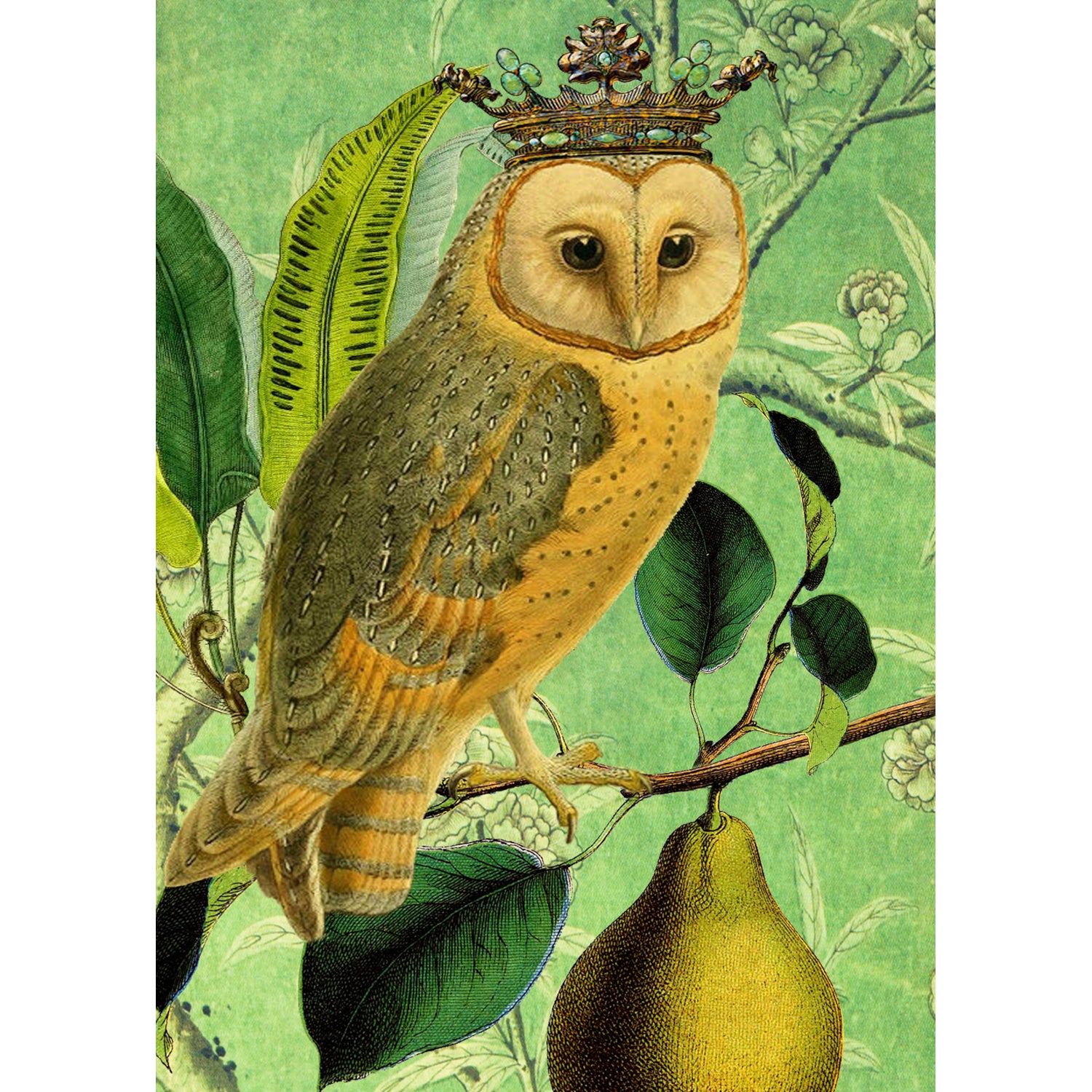 Crowned Owl Greeting Card