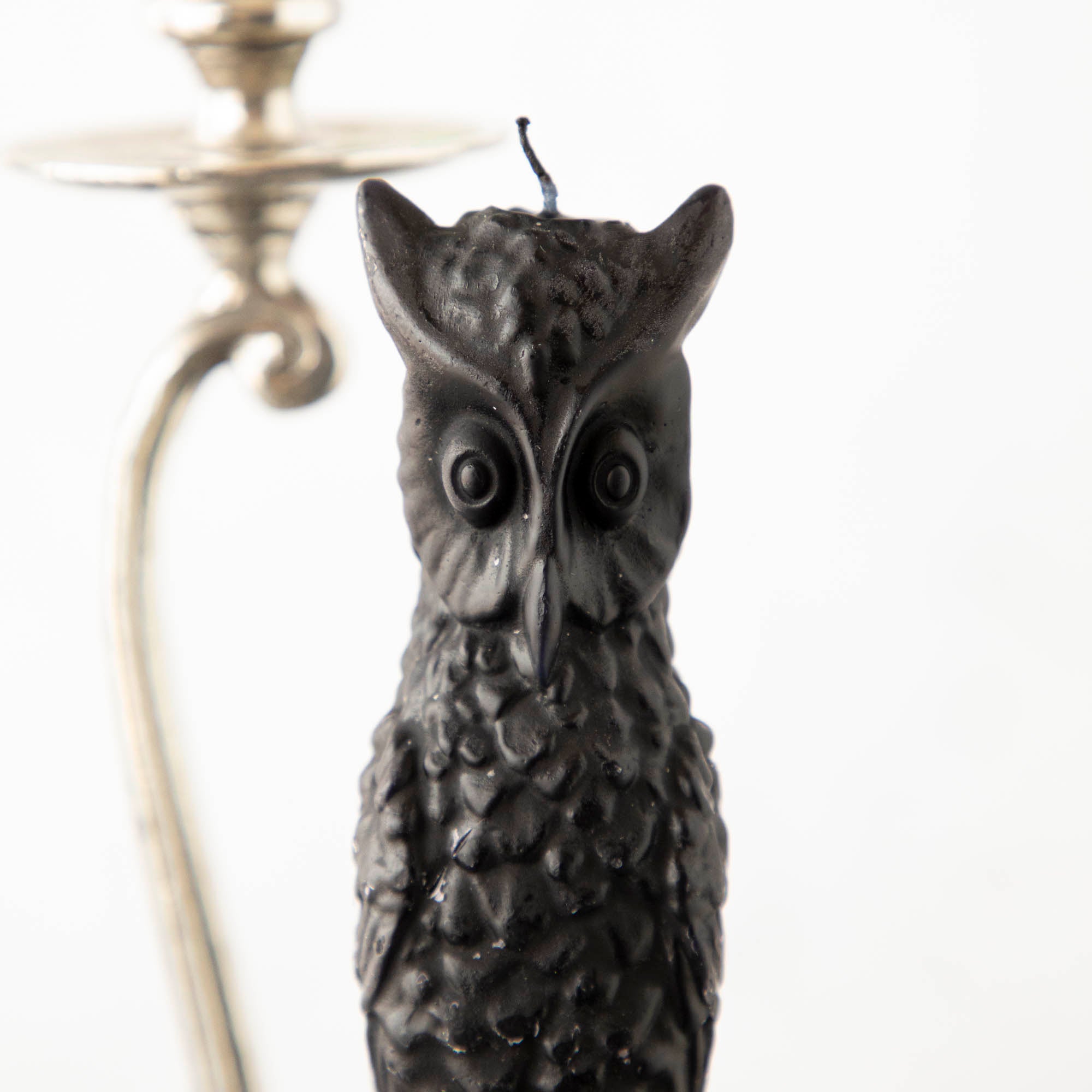 Unscented Owl Taper Candle, Set of 2