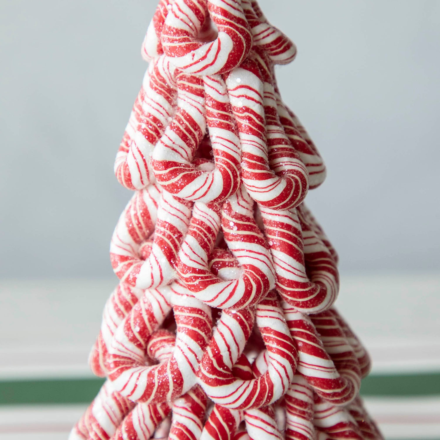 A close up of the Peppermint Tree showing it&