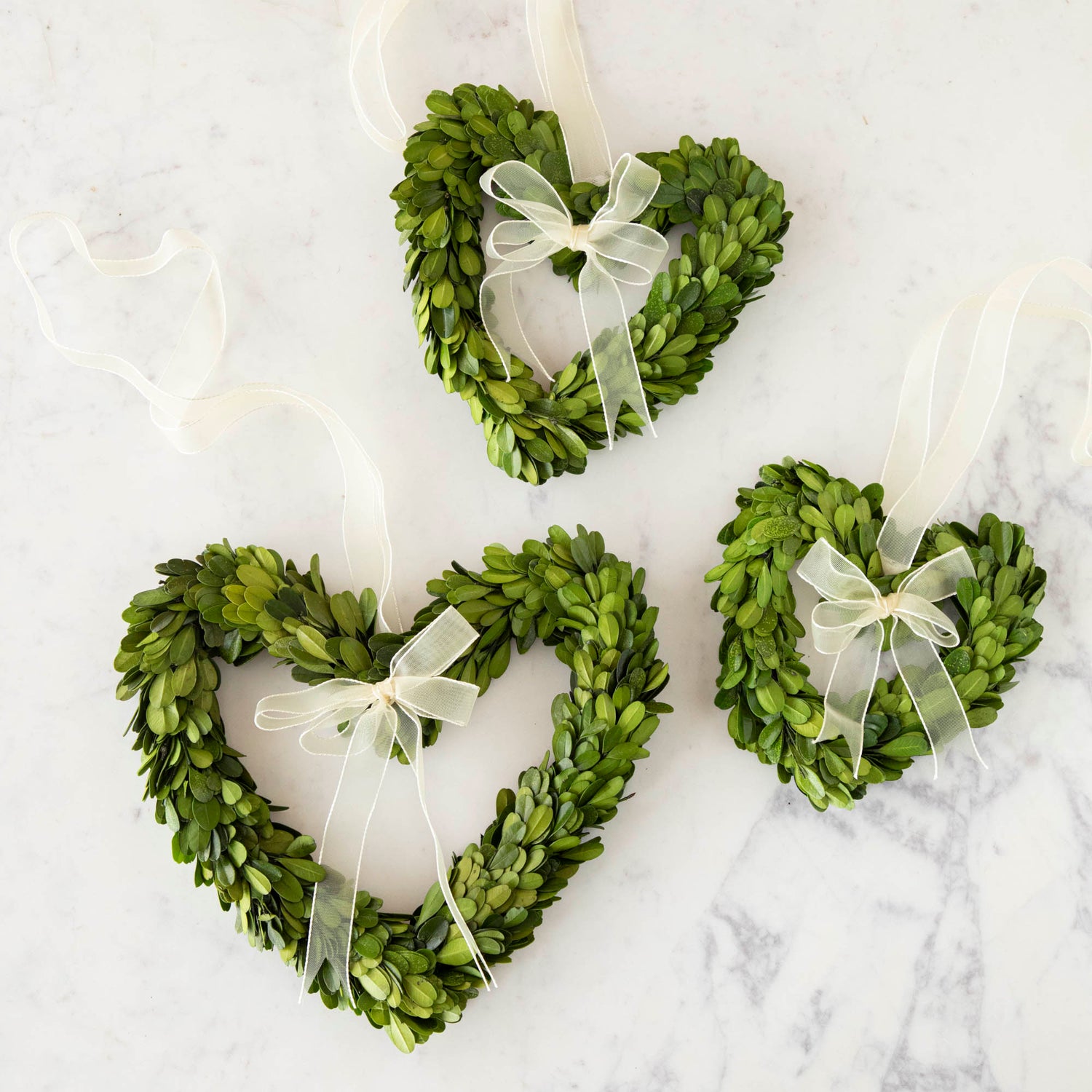 Three heart-shaped preserved Boxwood Wreath Hearts with Ribbons by Mills Floral Company on a white background.