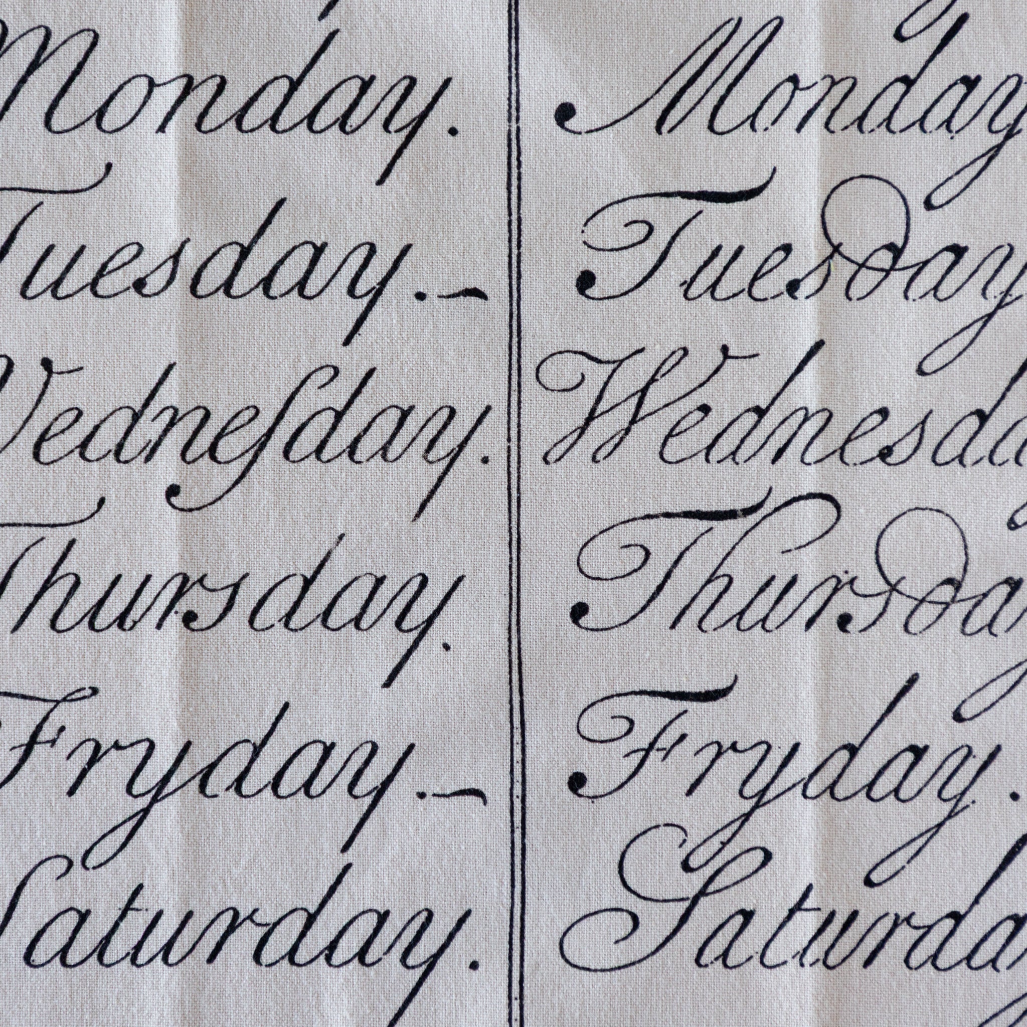 Textured fabric with handwritten-style days of the week printed on it.