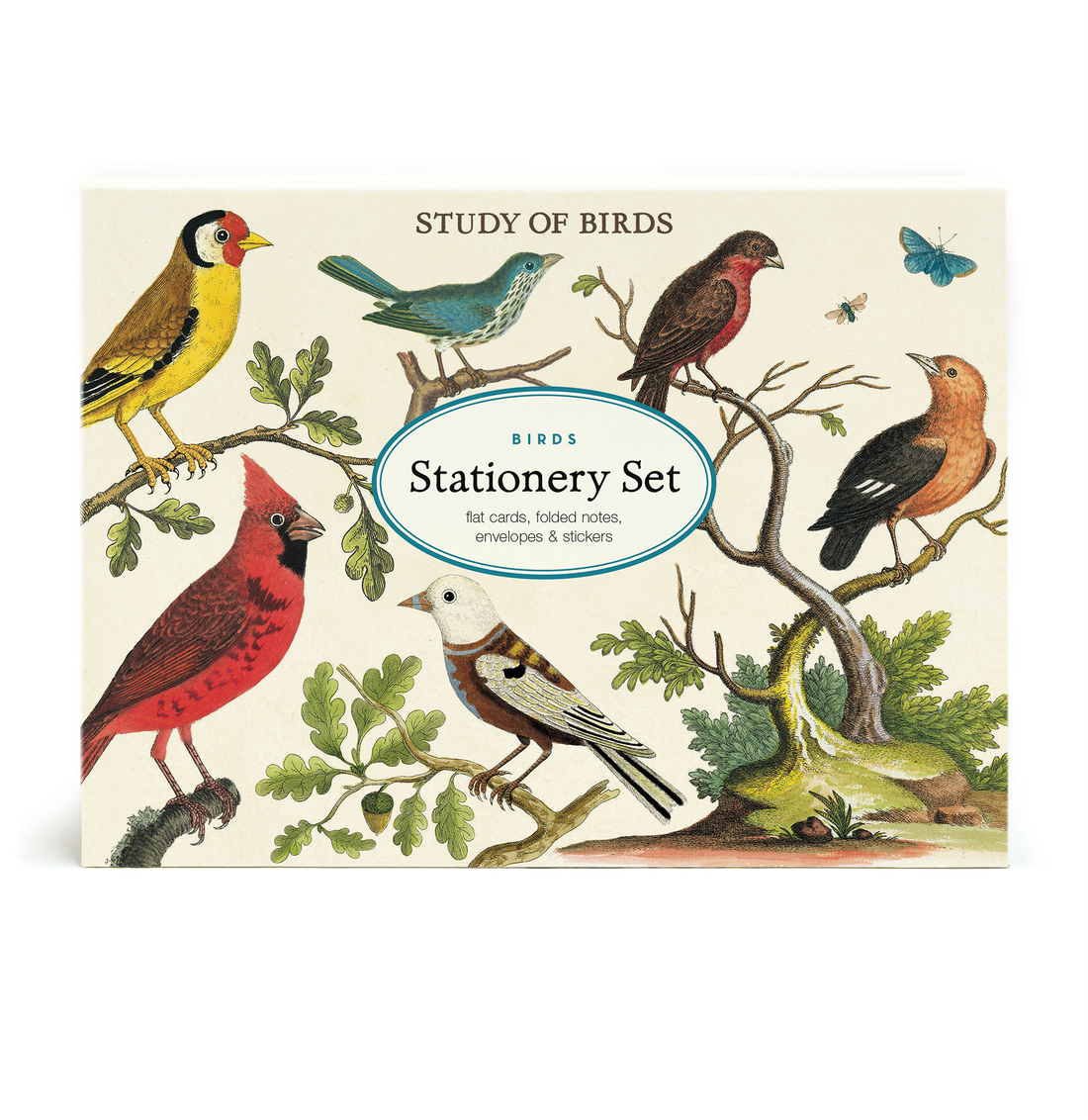 A Birds Stationery Set featuring illustrations of various birds on the packaging from Cavallini Papers &amp; Co.