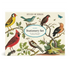 A Birds Stationery Set featuring illustrations of various birds on the packaging from Cavallini Papers & Co.