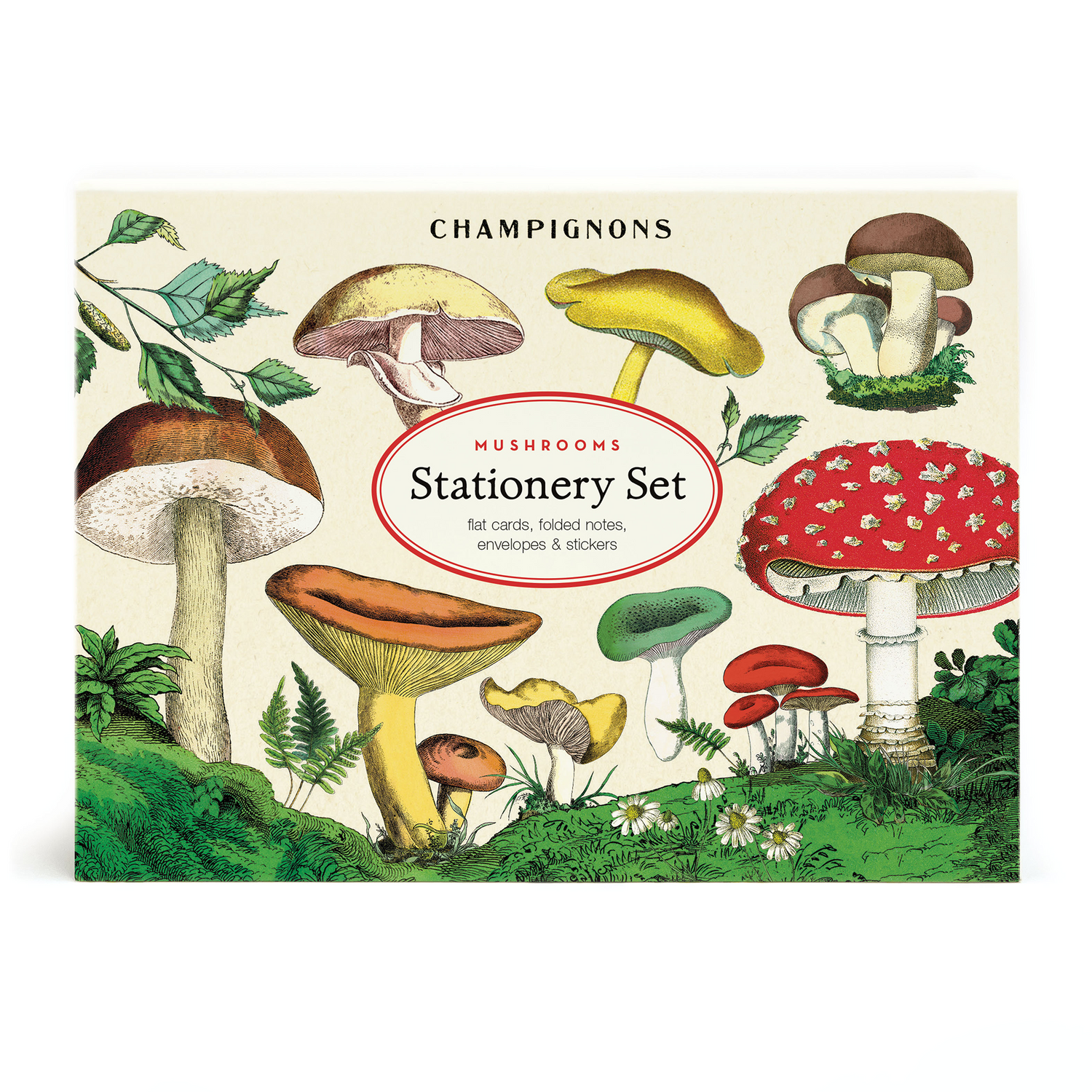 Cavallini Papers &amp; Co Mushroom Stationery Set featuring various types of mushrooms.
