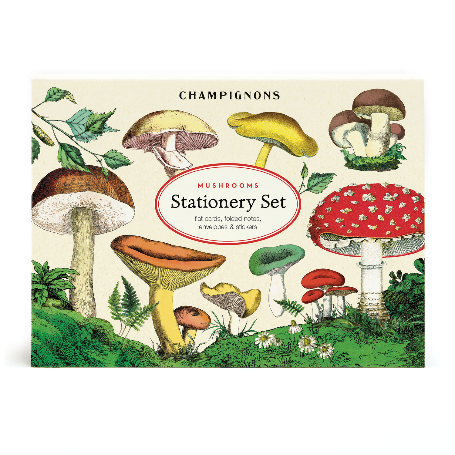 Mushroom Stationery Set – Hester & Cook